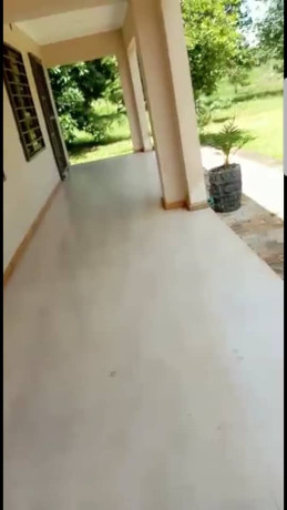 1-bedroom-fully-furnished-apartment-for-rent-in-lilayi-big-0