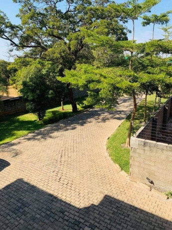 3-bedroom-flat-for-rent-in-woodlands-big-6