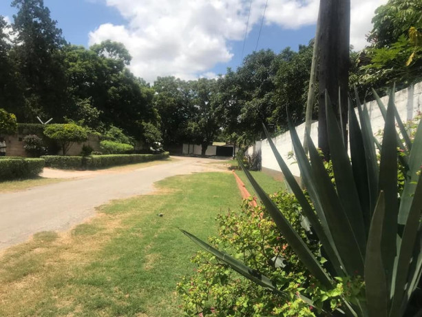 office-space-for-rent-in-olympia-big-5