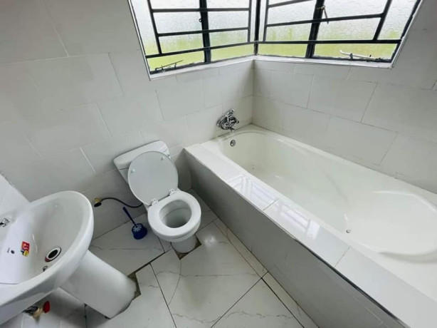 1-bedroom-house-for-rent-in-lilayi-big-3