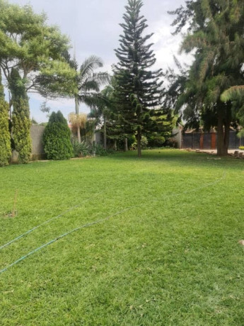 4-bedroom-house-for-rent-in-ibex-hill-big-5