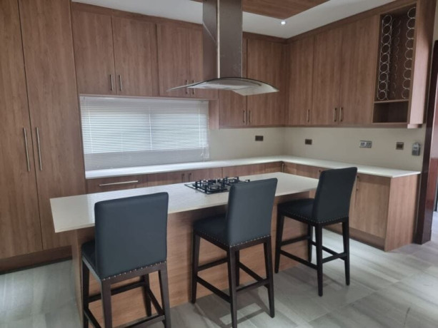 4-bedroom-furnished-apartment-for-rent-in-roma-park-big-6