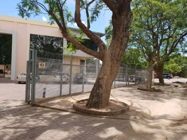 office-space-for-rent-in-olympia-big-8