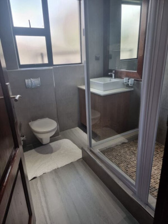 4-bedroom-fully-furnished-apartment-for-rent-in-roma-park-big-5