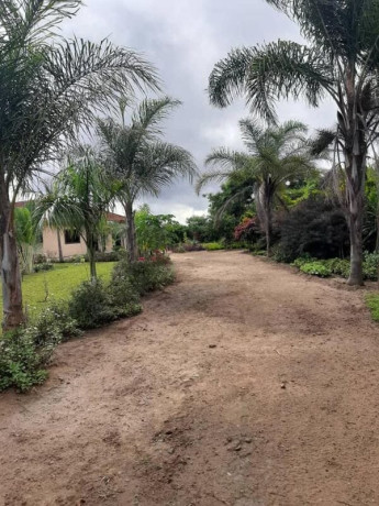 3-bedroom-house-for-rent-in-ngwerere-big-6