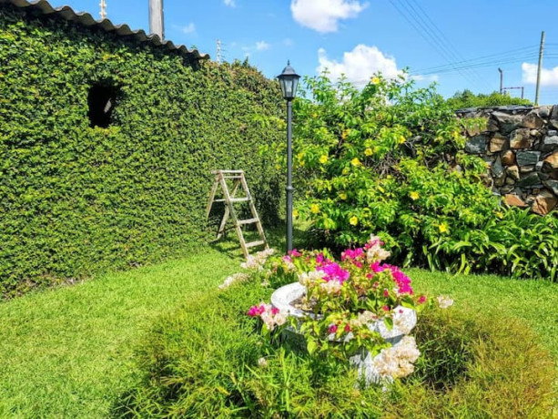 2-bedroom-fully-furnished-apartment-for-rent-in-olympia-big-3