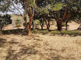 plots-for-sale-in-roma