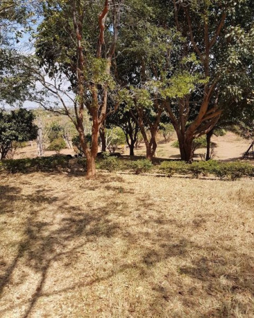 plots-for-sale-in-roma-big-0