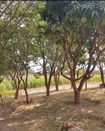 plots-for-sale-in-roma-big-4