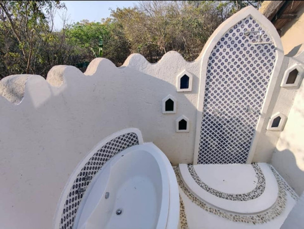 4-bedroom-standalone-house-for-rent-in-chifwema-road-big-8