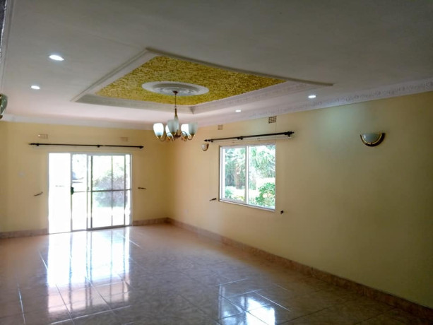 4-bedroom-house-for-rent-in-jesmondine-big-7