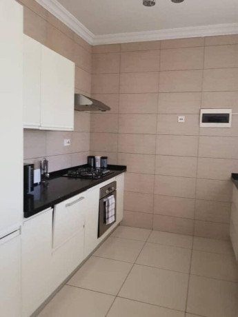 2-bedroom-furnished-apartment-for-rent-in-roma-park-big-1