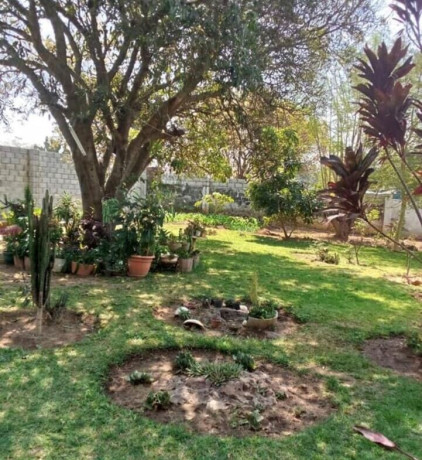 3-bedroom-house-for-sale-in-olympia-big-3