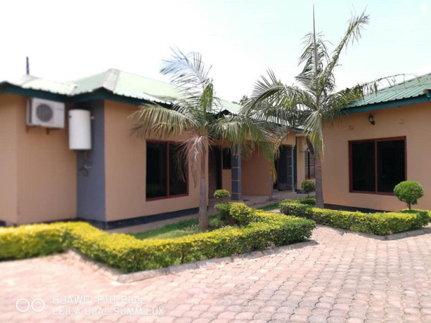 1-bedroom-furnished-apartments-for-rent-in-kalundu-big-0