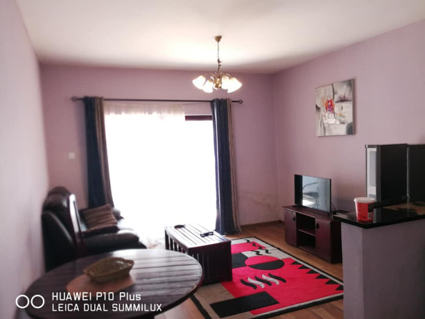 1-bedroom-furnished-apartments-for-rent-in-kalundu-big-2