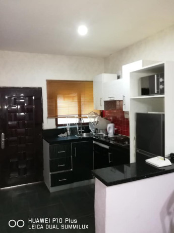 1-bedroom-furnished-apartments-for-rent-in-kalundu-big-1
