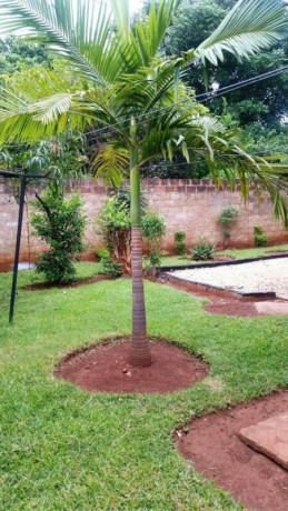 2-bedroom-flat-for-rent-in-woodlands-big-6