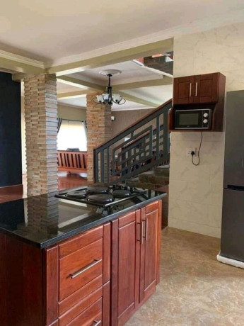 3-bedroom-fully-furnished-flats-for-rent-big-5