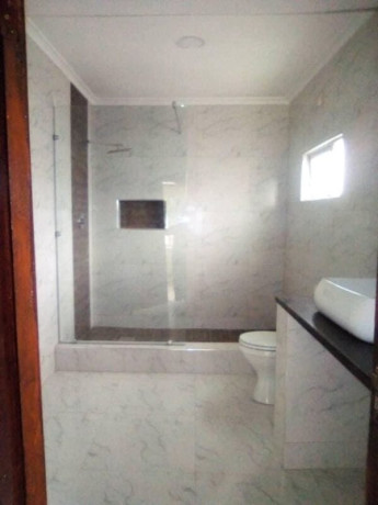 3-bedroom-house-for-rent-in-roma-big-4