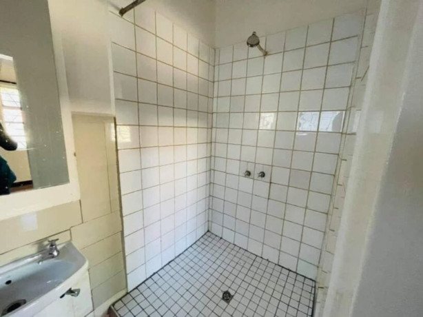 3-bedroom-house-for-rent-in-new-avondale-big-6