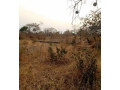 plot-for-sale-in-livingstone-small-3