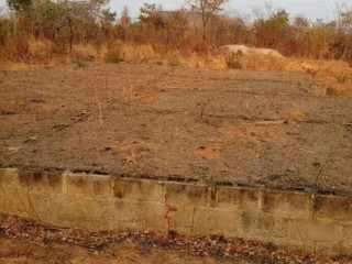 plot-for-sale-in-livingstone