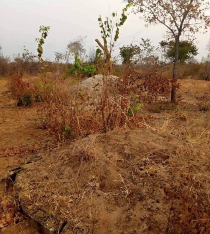 plot-for-sale-in-livingstone-big-1