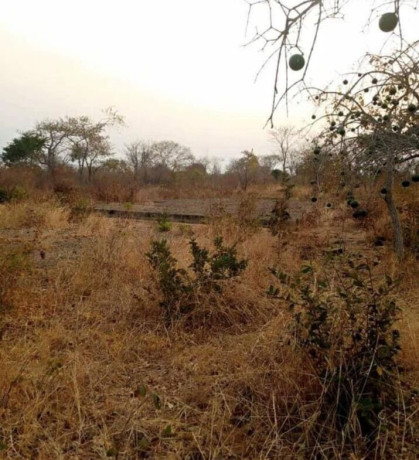 plot-for-sale-in-livingstone-big-3
