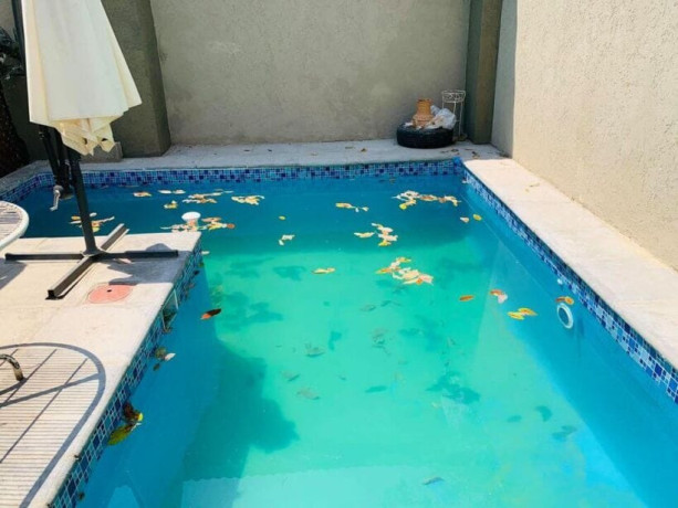 3-bedroom-duplex-for-rent-in-kalundu-big-8