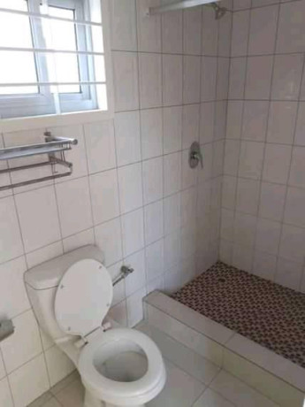 neat-2-bedroom-flat-for-rent-in-olympia-big-3