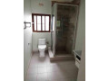 2-bedroom-fully-furnished-apartment-for-rent-in-new-kasama-small-8