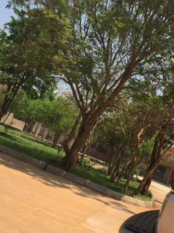 2-bedroom-fully-furnished-apartment-for-rent-in-new-kasama-big-6