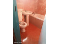 2-bedroom-flat-for-rent-in-chalala-small-6