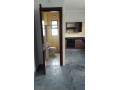1-bedroom-apartment-for-rent-in-ibex-hill-small-5