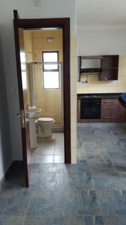 1-bedroom-apartment-for-rent-in-ibex-hill-big-5