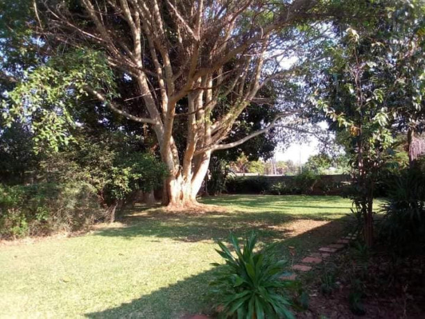 3-bedroom-standalone-house-for-rent-in-phi-big-2