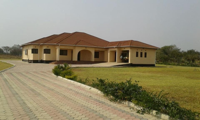 4-bedroom-standalone-house-for-rent-in-makeni-big-2