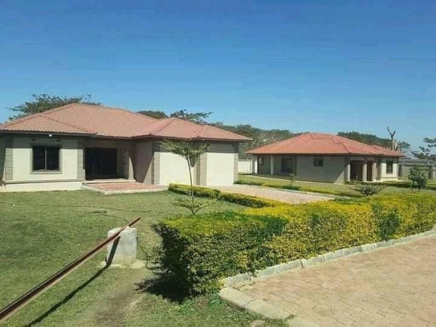 3-bedroom-house-for-rent-in-lilayi-big-1