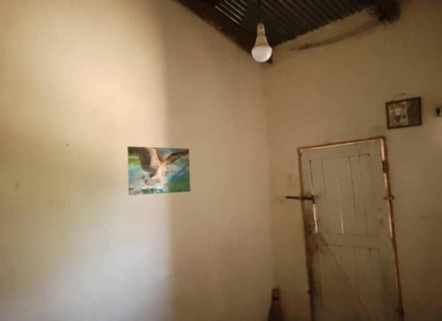 3-bedroom-house-for-sale-in-zanimuone-west-big-5