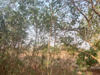 plot-for-sale-in-ngwerere
