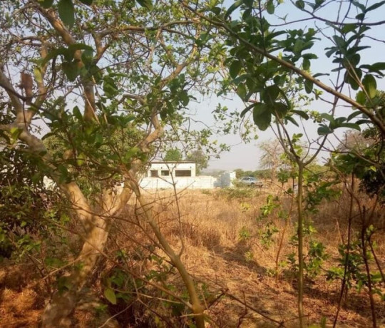 plot-for-sale-in-ngwerere-big-2