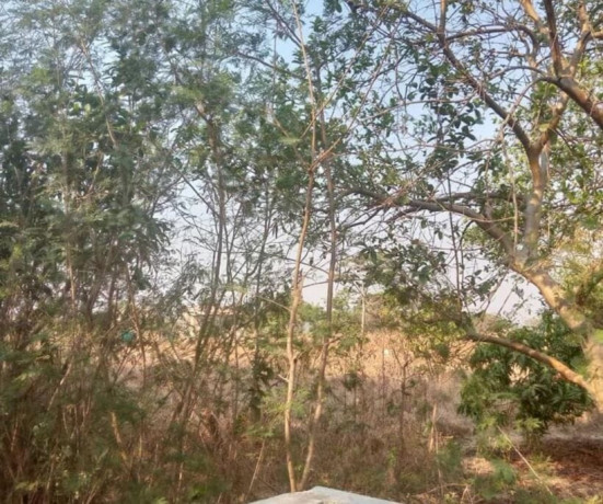 plot-for-sale-in-ngwerere-big-0