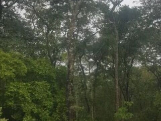 1017-hectare-farm-land-for-sale