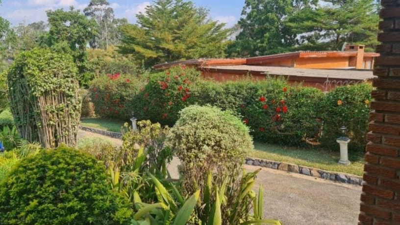 4-bedroom-house-for-rent-in-northrise-big-3