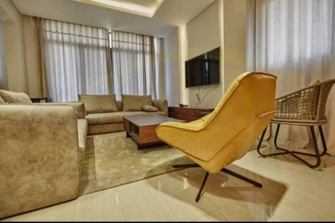 3-bedroom-apartment-for-rent-in-roma-park-big-4