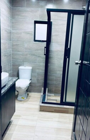 3-bedroom-house-for-rent-in-roma-park-big-9