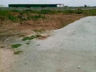 33-acre-plot-for-sale-in-chinika