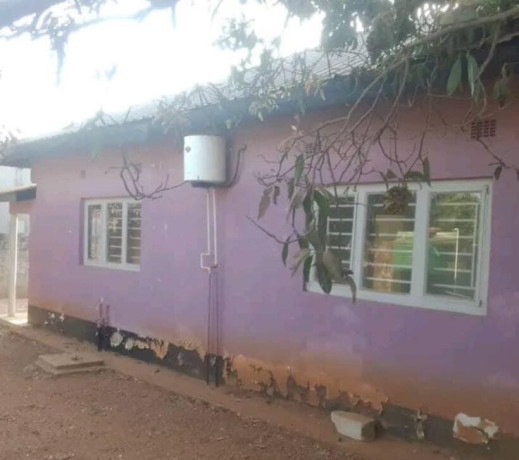 2-bedroom-flat-for-rent-in-avondale-big-1