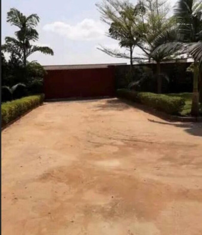 3-bedroom-house-for-sale-in-mitengo-big-1