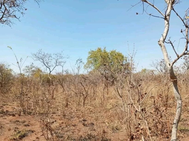 plot-for-sale-in-ibex-meanwood-big-1